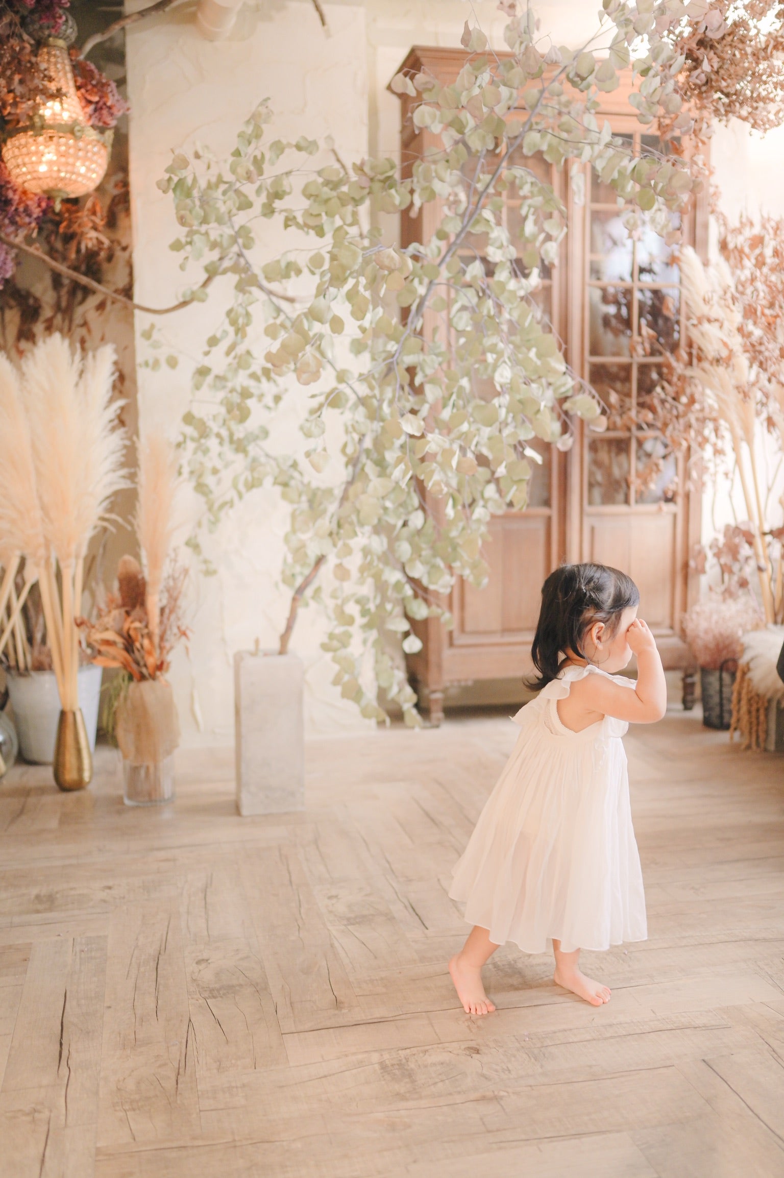 fairy dress